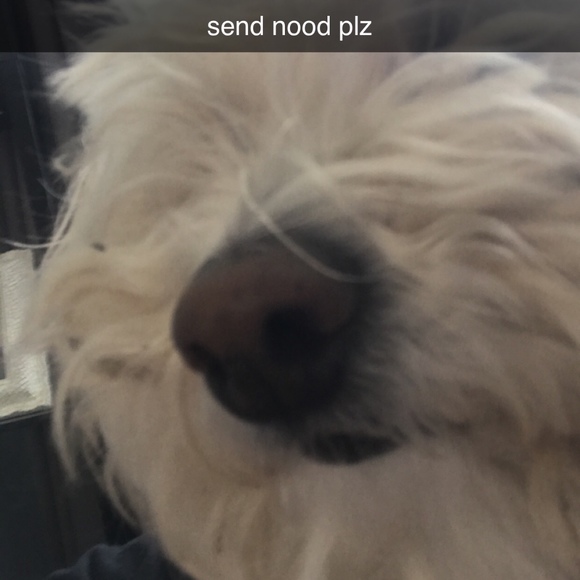 Meet your Posher, Jorja - Picture 1 of 1